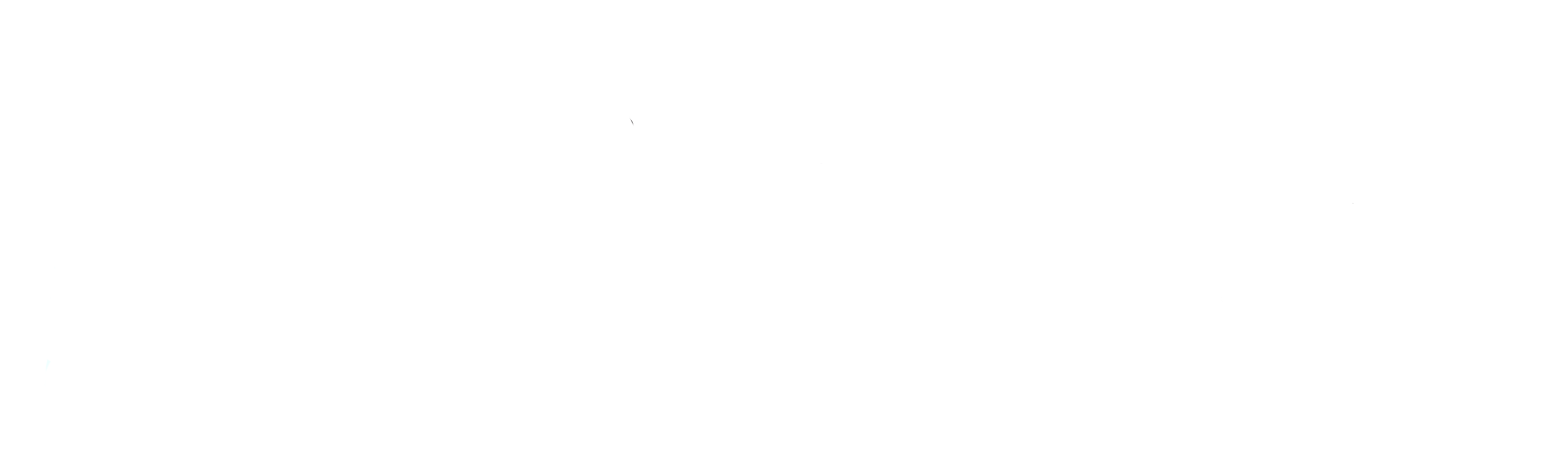 bnp paribas fortis-1